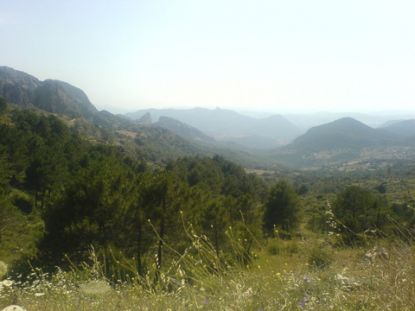 DSC02366