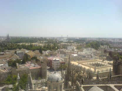 DSC02631