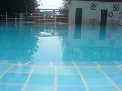 DSC02600