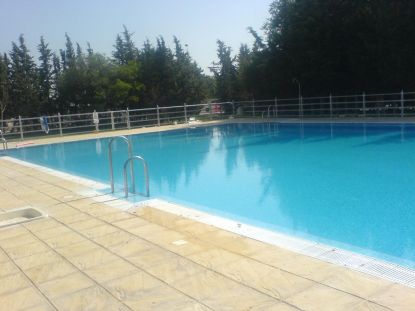 DSC02601