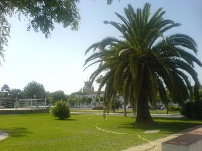 DSC02605